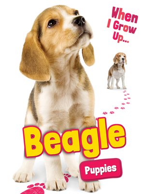 cover image of Beagle Puppies